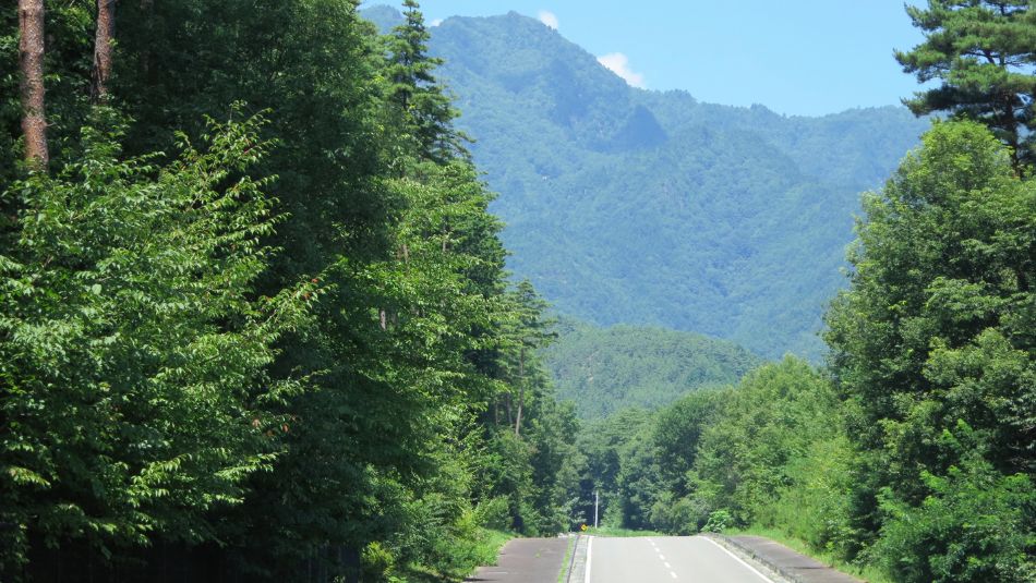 2012-08-02_11.06.09.jpg