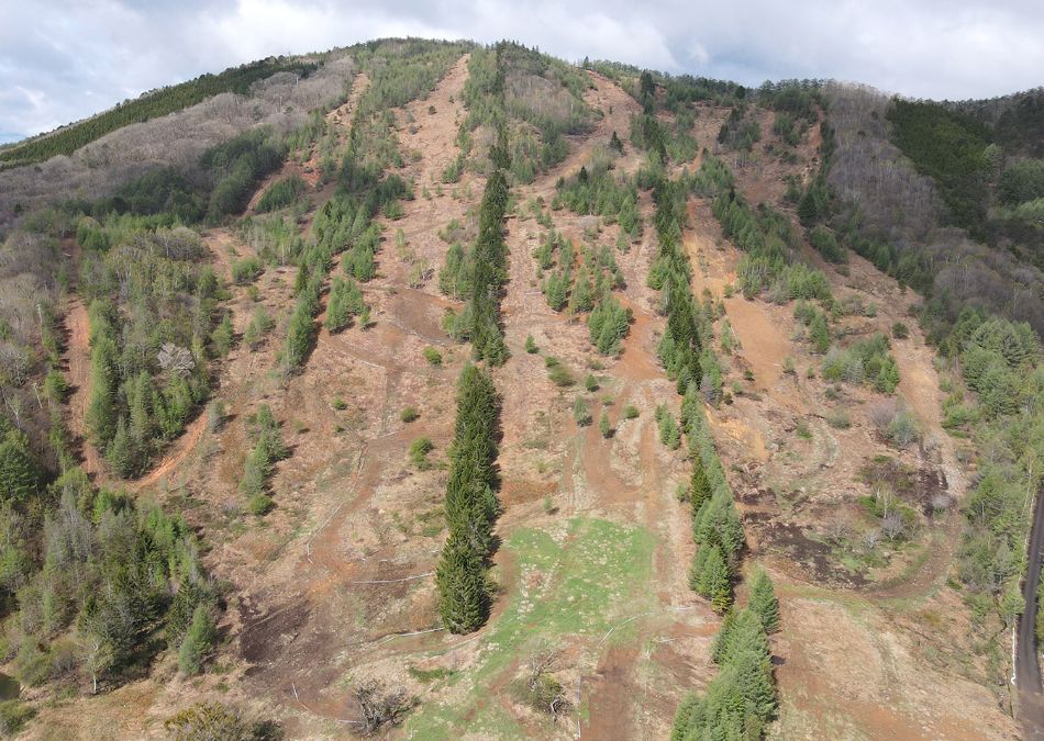 dji_fly_20250511_084240_170_1746920613113_photo.jpg